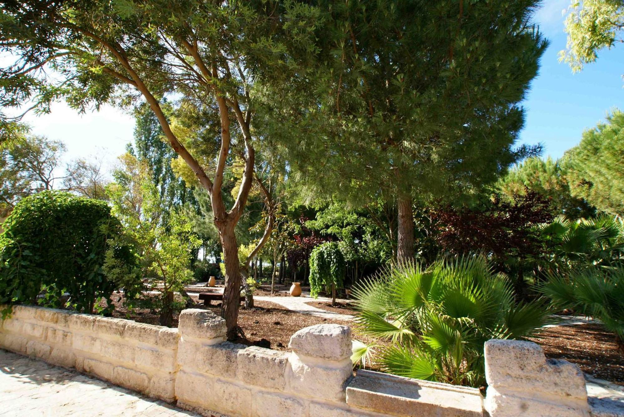 L'Oliveraie De Paul Aigues-Mortes Exteriér fotografie